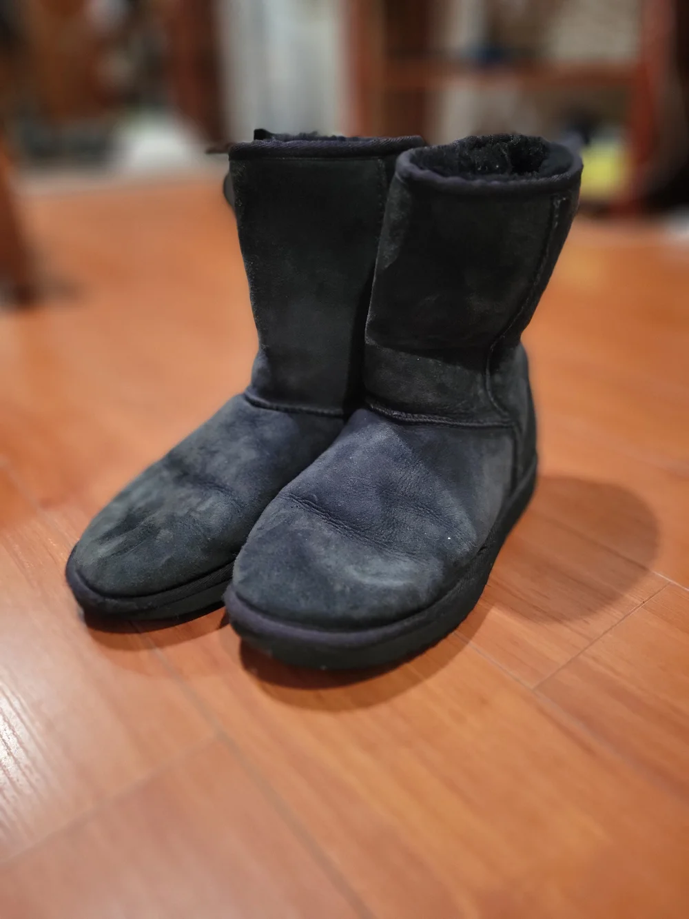 UGG Boot Women